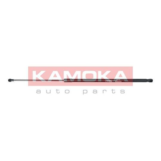 7091020 Gas Spring, bonnet