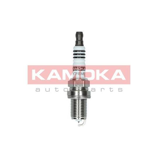 7100013 Spark Plug