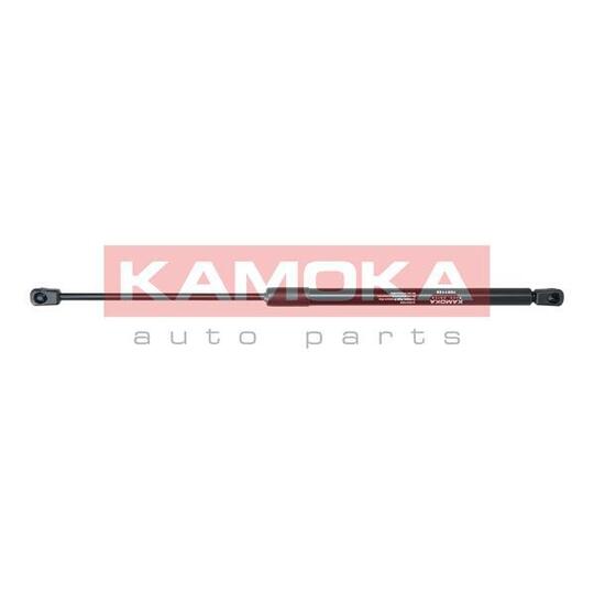 7091139 Gas Spring, bonnet
