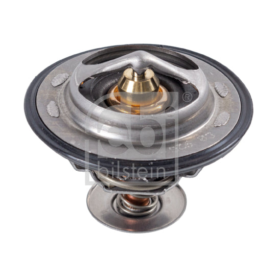 172714 Thermostat, coolant