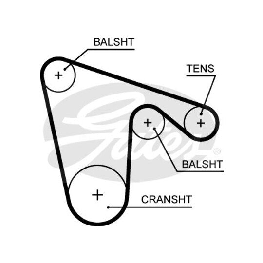5619XS Timing Belt