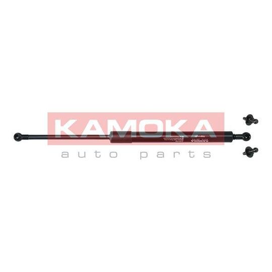 7091131 Gas Spring, bonnet