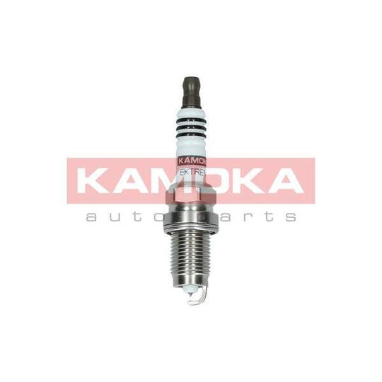 7100027 Spark Plug