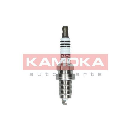 7100029 Spark Plug