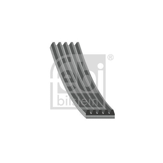 176687 V-Ribbed Belt