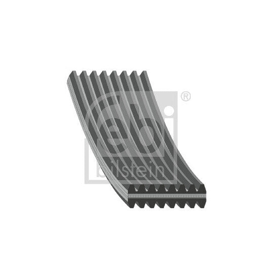 177989 V-Ribbed Belt