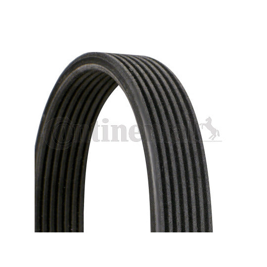 7DPK2569 V-Ribbed Belt