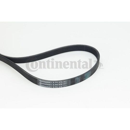 6PK976 V-Ribbed Belt