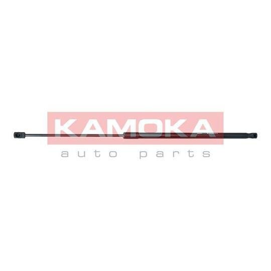 7091125 Gas Spring, bonnet