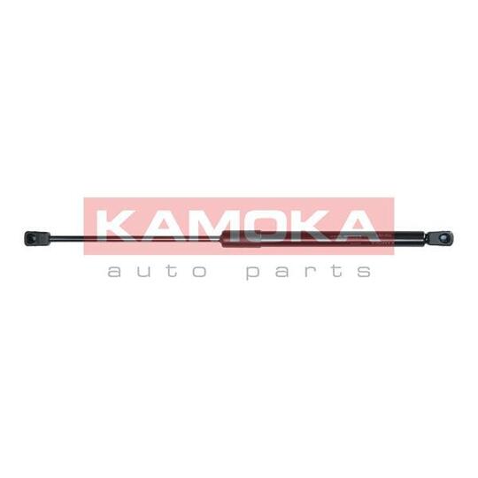 7091055 Gas Spring, bonnet
