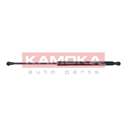 7092434 Gas Spring, boot-/cargo area