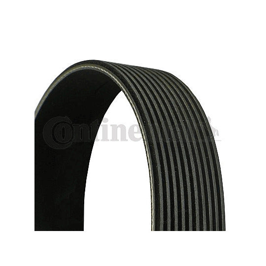 10PK1235 V-Ribbed Belt