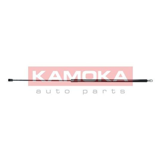 7091005 Gas Spring, bonnet