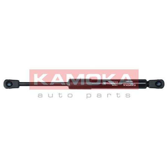 7091021 Gas Spring, bonnet