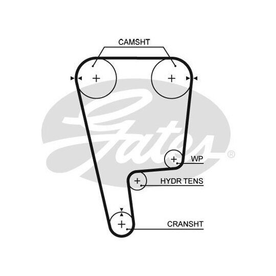 T226 Timing Belt