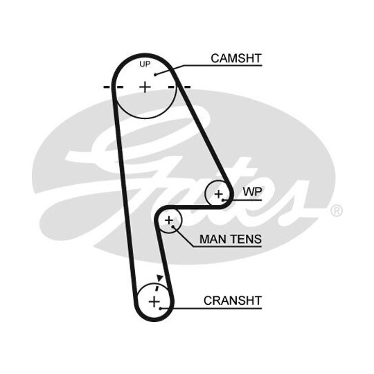 5529XS Timing Belt