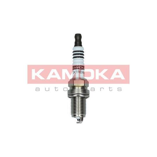 7090502 Spark Plug