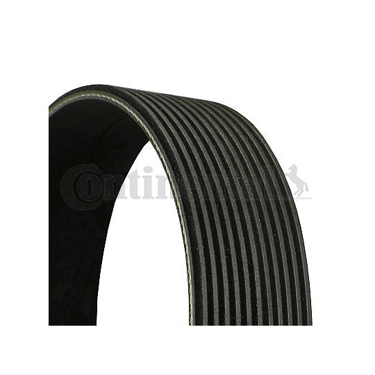 11PK1920 V-Ribbed Belt