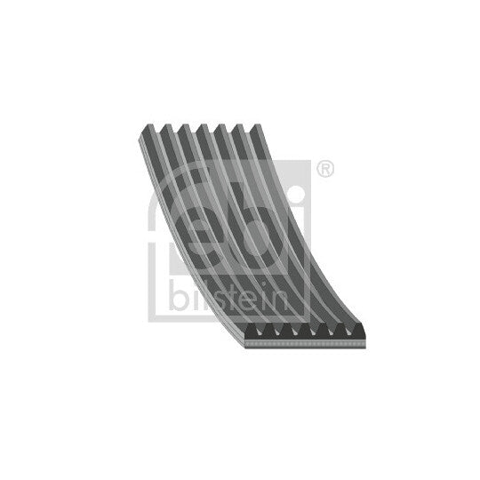 176707 V-Ribbed Belt
