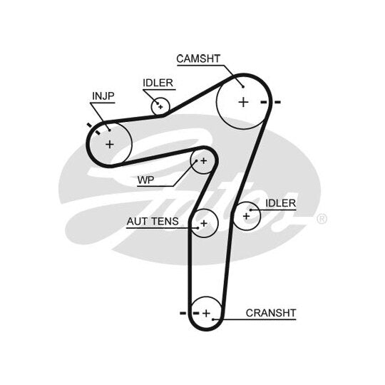 5663XS Timing Belt