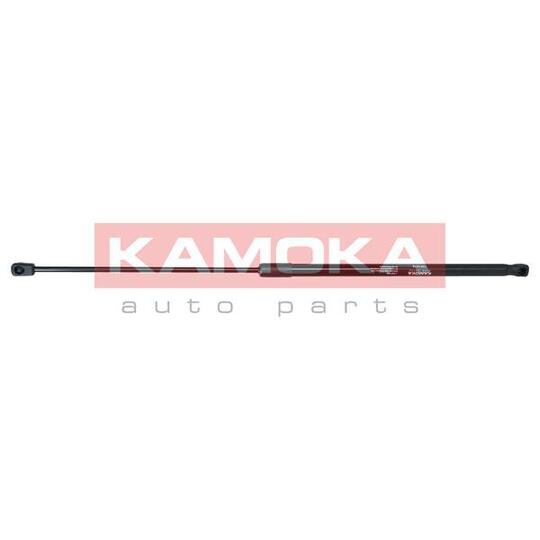 7091072 Gas Spring, bonnet