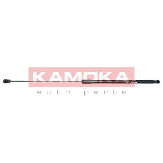 7091149 Gas Spring, bonnet