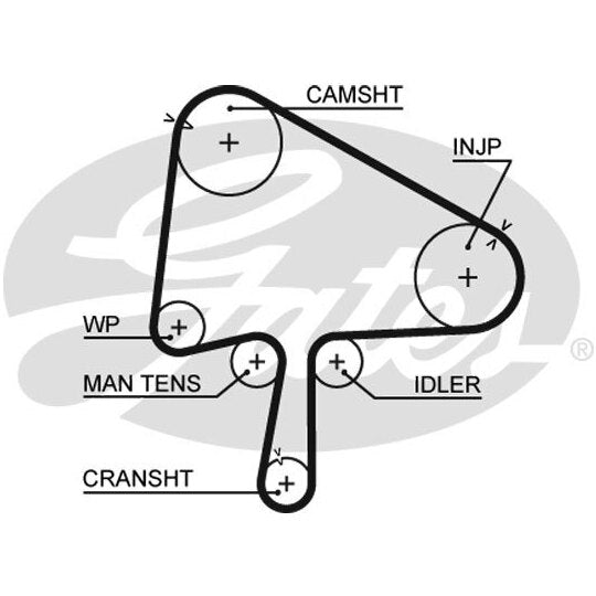 5596XS Timing Belt