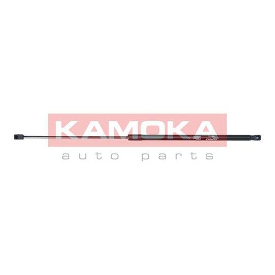7091143 Gas Spring, bonnet