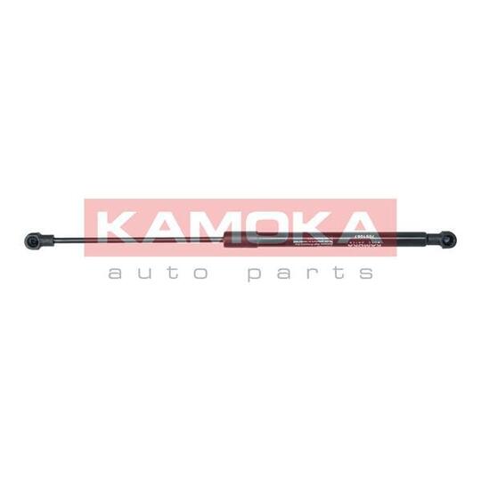 7091067 Gas Spring, bonnet