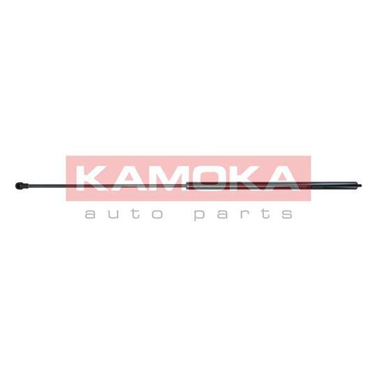 7091108 Gas Spring, bonnet