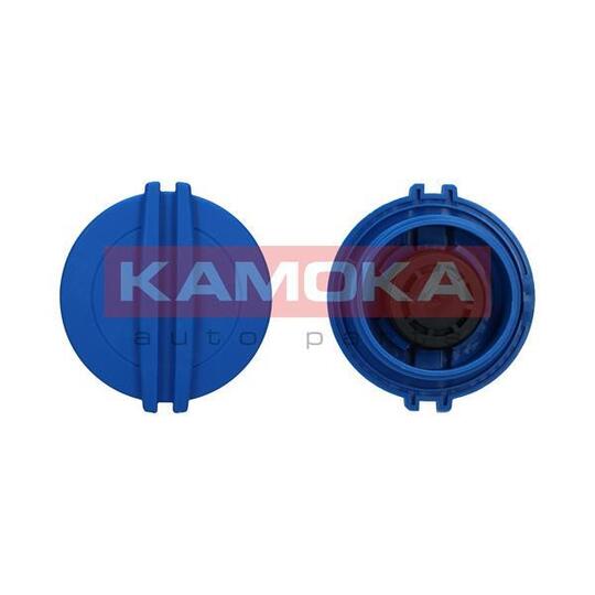 7729010 Cap, coolant tank