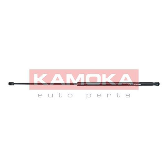 7091144 Gas Spring, bonnet