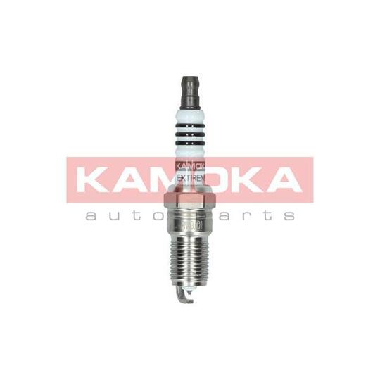 7090016 Spark Plug