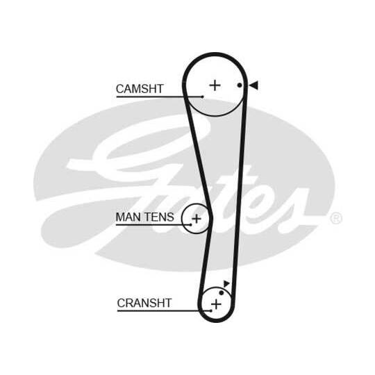 5687XS Timing Belt