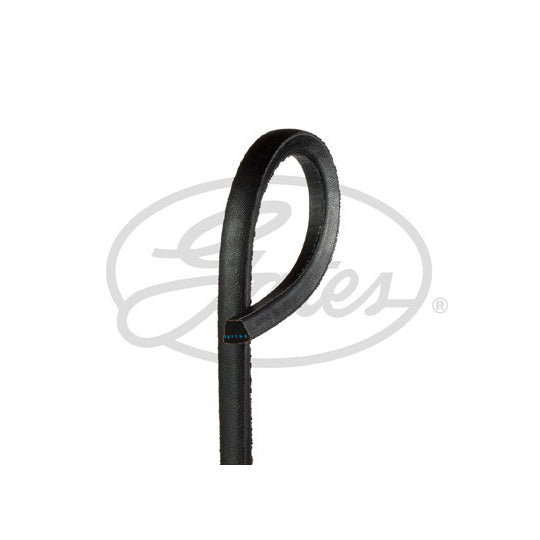AV13X625HD V-belt