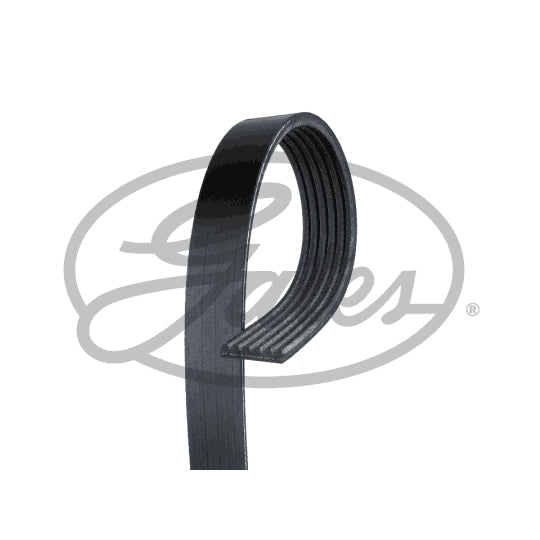 6PK1275 V-Ribbed Belt