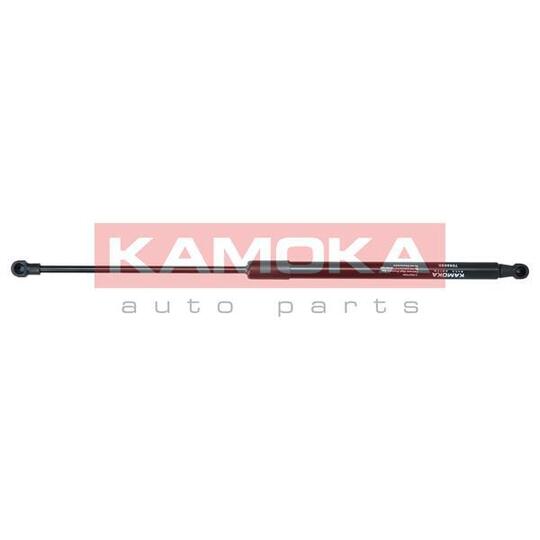 7092020 Gas Spring, boot-/cargo area