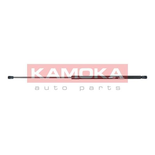 7091010 Gas Spring, bonnet