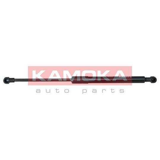 7091113 Gas Spring, bonnet