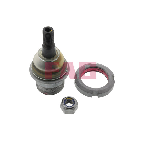 825 0079 10 Ball Joint
