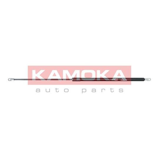 7091009 Gas Spring, bonnet