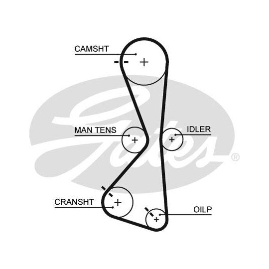 5609XS Timing Belt