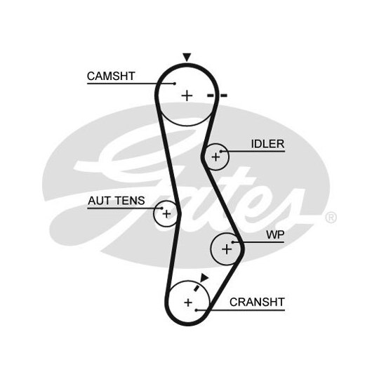 5579XS Timing Belt