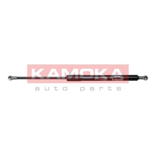 7091002 Gas Spring, bonnet