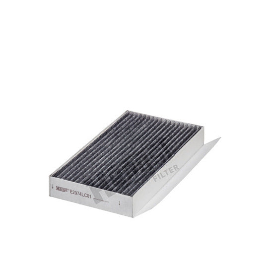 E2974LC01 Filter, interior air