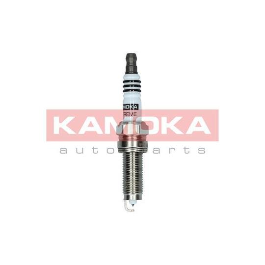 7100066 Spark Plug