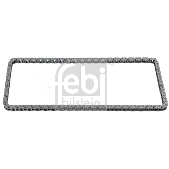 173423 Timing Chain