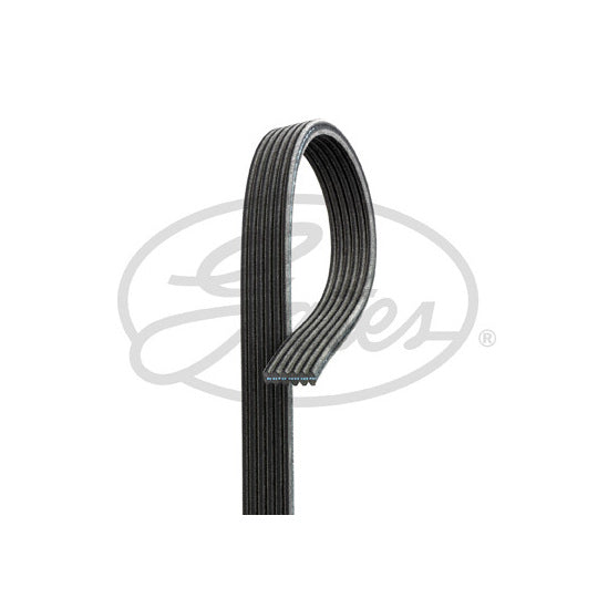 6DPK1352 V-Ribbed Belt