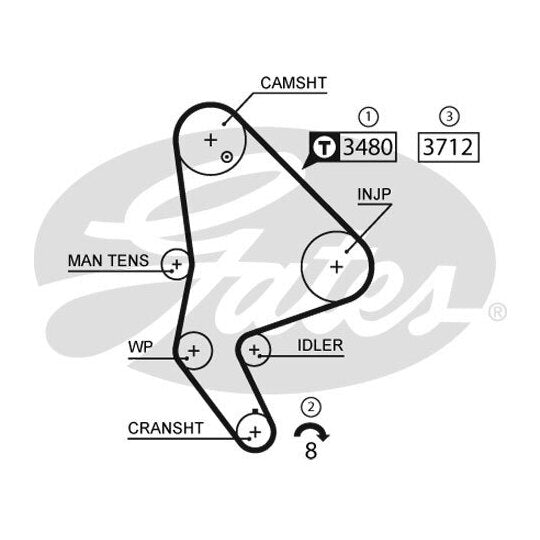 5590XS Timing Belt