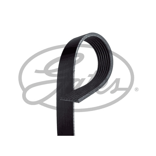 7PK1785 V-Ribbed Belt